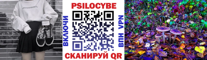 Галлюциногенные грибы Magic Shrooms Карабулак